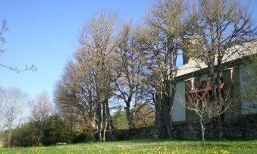 Hostal Casa Sario Jaurrieta Екстериор снимка