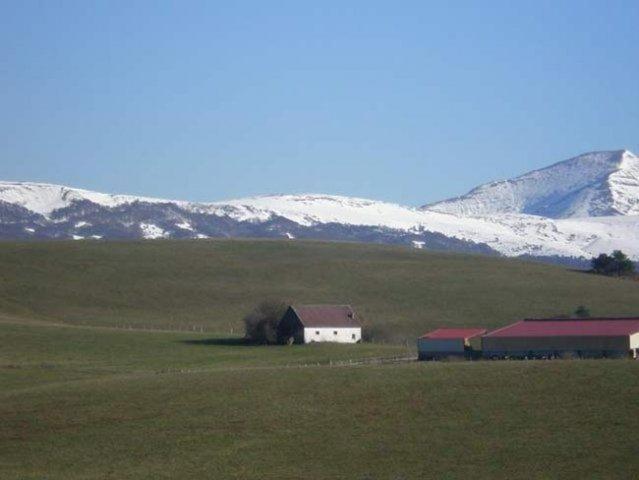 Hostal Casa Sario Jaurrieta Екстериор снимка